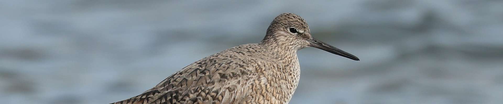 Click to show or hide the buttons