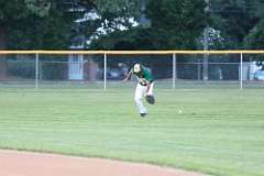 229: baseball_229