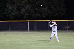 183: baseball_3941