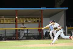 194: baseball_4017