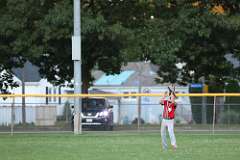 36: baseball_4811