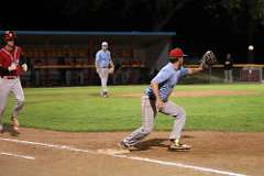 151: baseball_5546