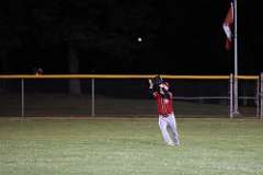 234: baseball_6169