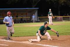 141: baseball_7339