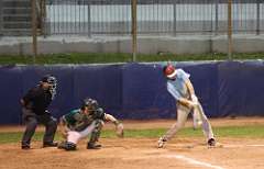 135: baseballl1_3355