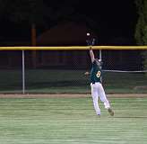 154: baseballl1_3959