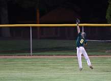 155: baseballl1_3960