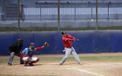 151: baseball_3423