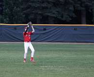 163: baseball_3466